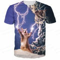 T-shirt chat drôle imprimé en 3D pour hommes,